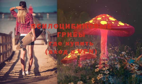 прущая мука Армянск